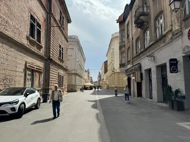 Apartment Joy Ungureanu 6b Timişoara