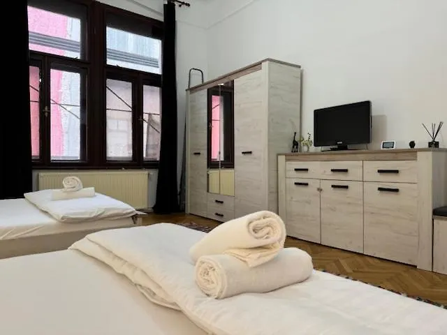 Joy Ungureanu 6b Timişoara