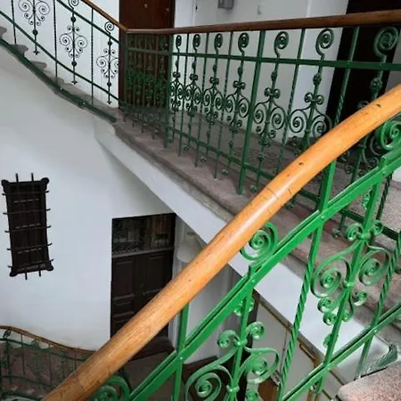 Joy Ungureanu 6b Timişoara