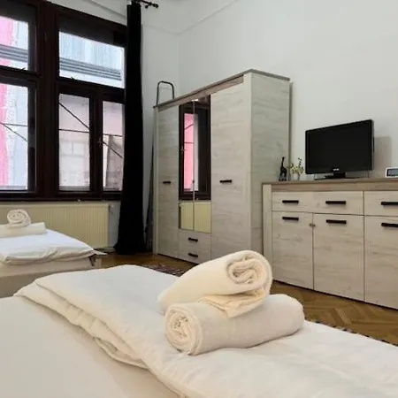 Joy Ungureanu 6b Timişoara